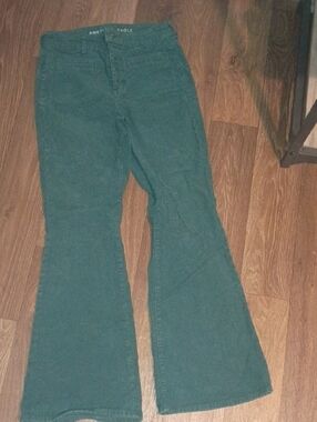 American Eagle Outfitters Teal Flared Jeans